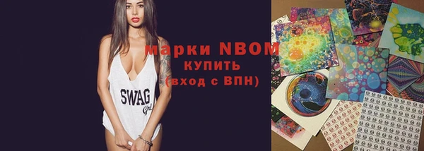 шишки Алексин