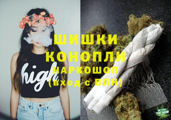 шишки Алексин
