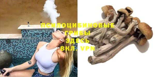 тгк Алзамай