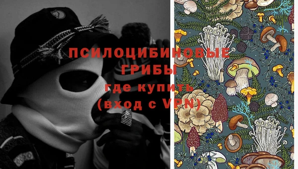 тгк Алзамай